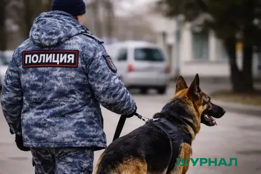 Преступность в Саратовской области снизилась на 9,6% в 2025 году