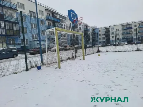 В Саратовской области объявлены аукционы на создание &laquo;умных&raquo; спортивных площадок