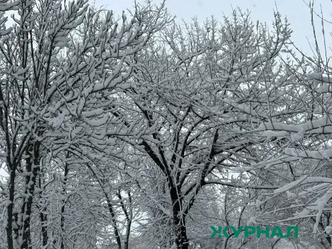 На Кумысной поляне в Саратове образовалась опасная изморозь