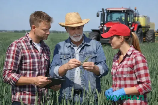 Селекционеры Саратовской области создали более 80 новых сортов растений