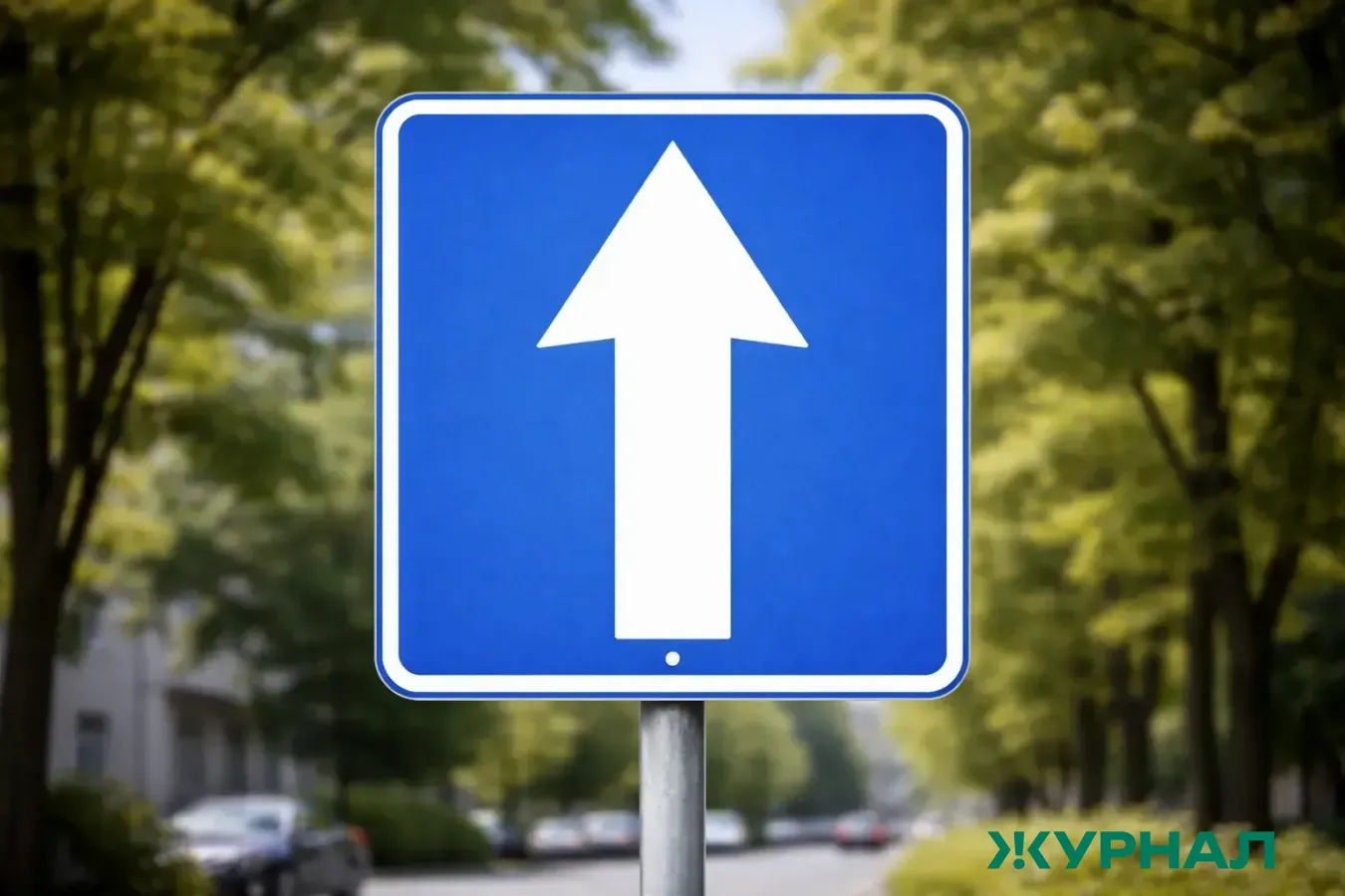 Обновлены дорожные знаки в России: новые обозначения и уточнения