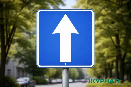 Обновлены дорожные знаки в России: новые обозначения и уточнения