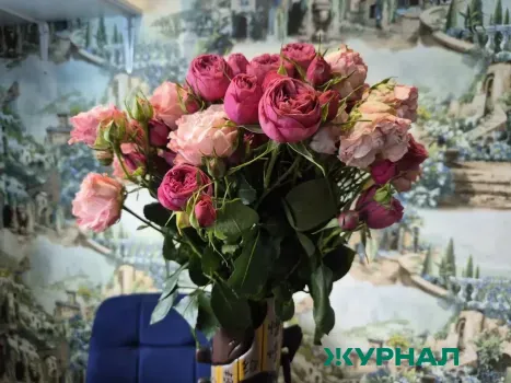 День святого Валентина в Саратове: 13% планируют праздновать, 31% подарят цветы