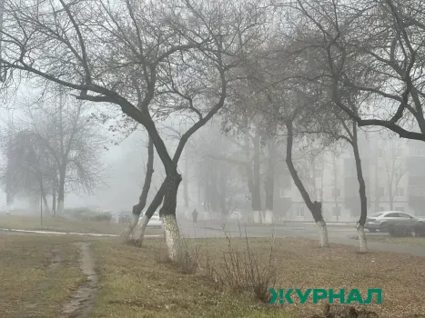 Сильный туман ожидается в Саратовской области, ухудшая видимость на дорогах