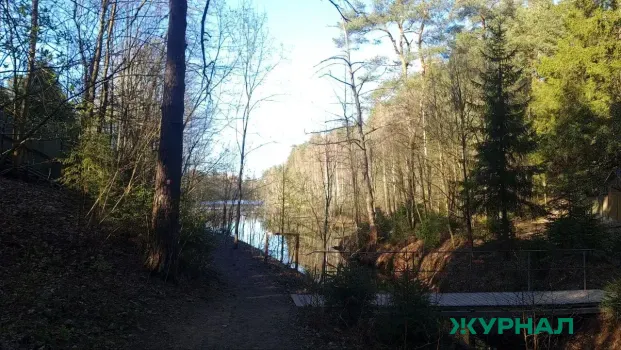 Саратовская область заготовила семена для восстановления лесов в рамках нацпроекта