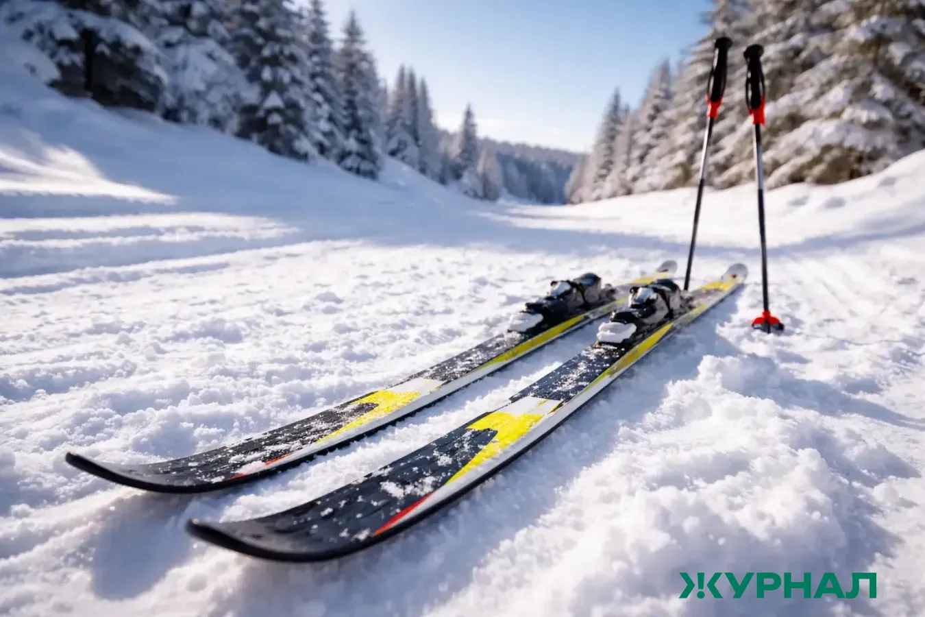 Экотропа в Ленинском районе стала местом отдыха для жителей Саратовской области