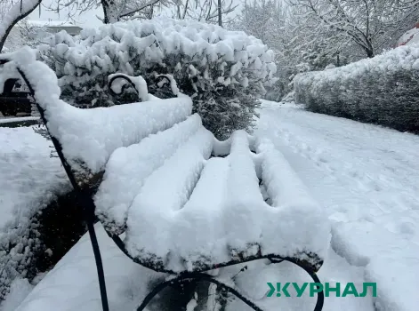 Циклоны и антициклоны: погода в Саратовской области на предстоящую неделю