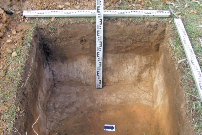 В Саратовской области археолог открыла пять новых памятников культурного наследия