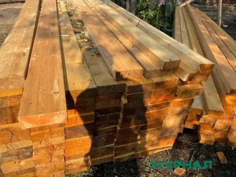 Предприниматель из Омска оштрафована за незаконную транспортировку леса в Казахстан