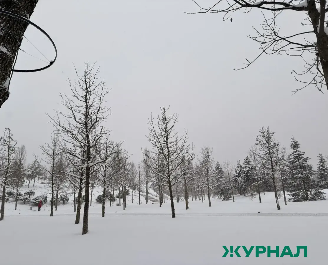 В Саратовской области ожидаются морозы и небольшой снег 24 февраля