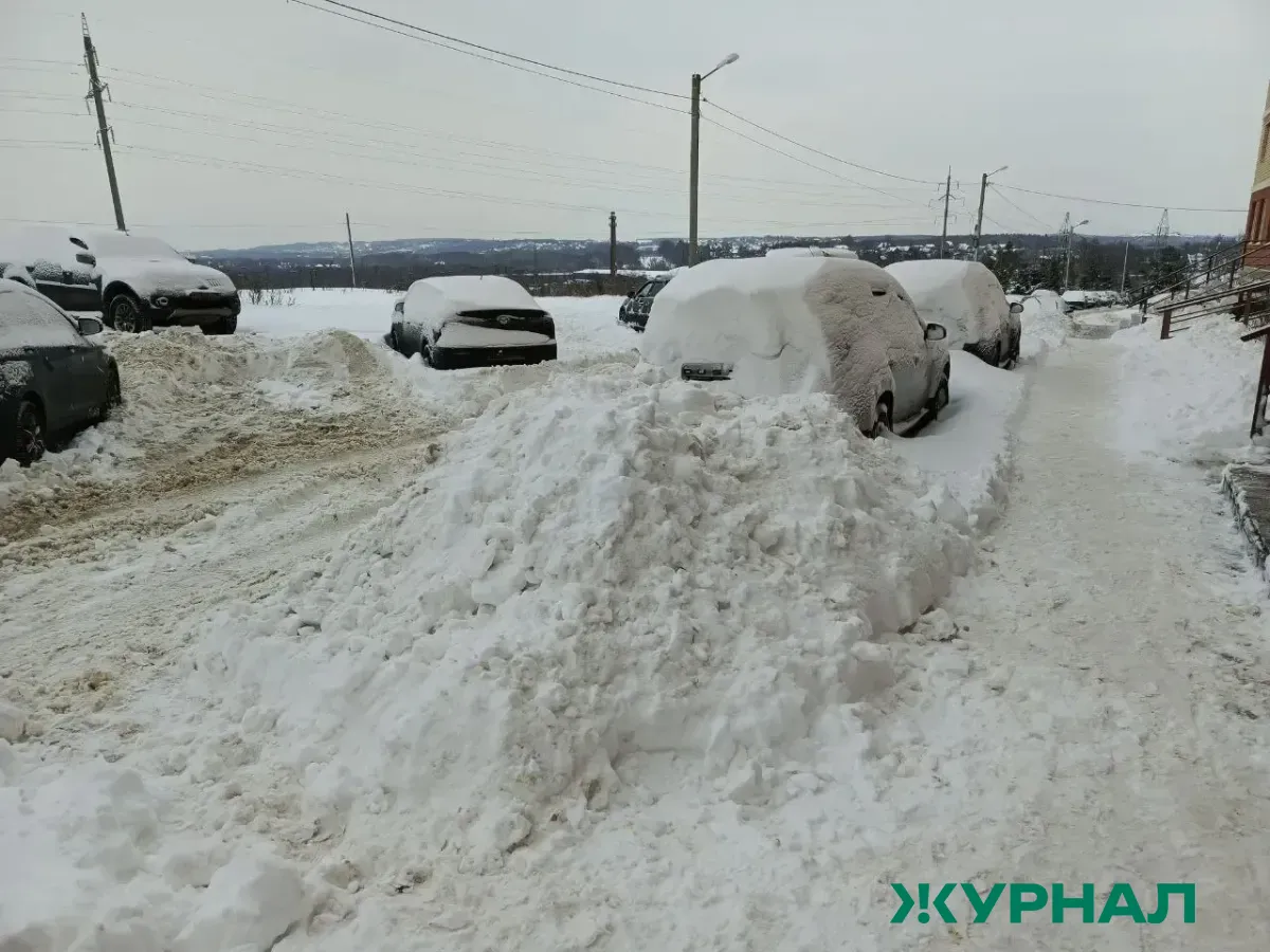 Максим Леонов получил представление за некачественную уборку снега в Энгельсе