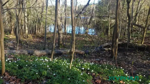 В Саратовской области принят закон для улучшения социальной инфраструктуры и лесного хозяйства