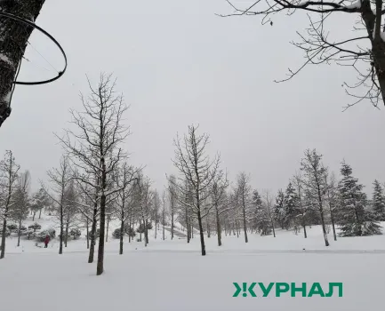 Облачная погода с осадками ожидается в Саратовской области в воскресенье