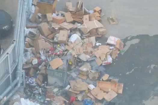 В Саратове зафиксированы нарушения в вывозе мусора на Шелковичной