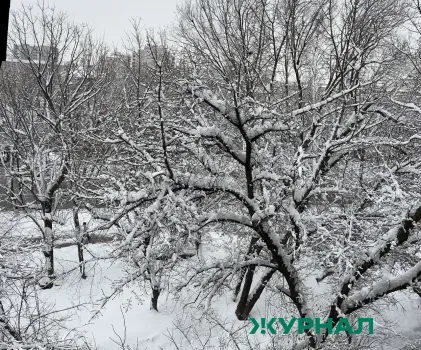 Погода в Саратовской области: холод и осадки в первый понедельник весны