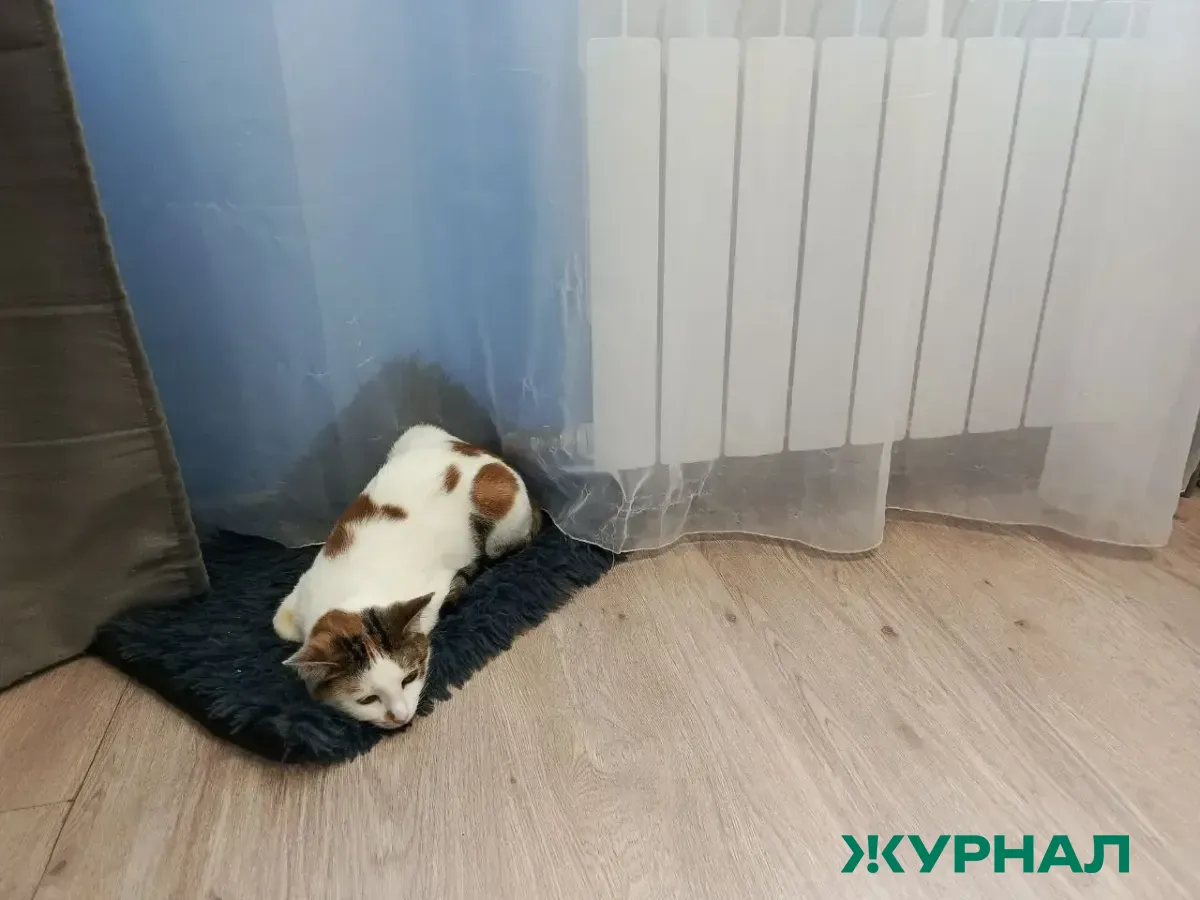 В Саратове 2 марта 17 домов останутся без отопления и горячей воды