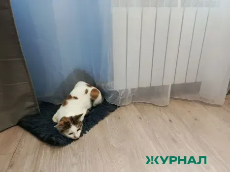 В Саратове 2 марта 17 домов останутся без отопления и горячей воды