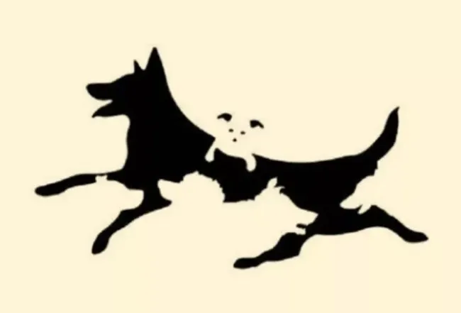 Проверьте свой психологический возраст: сколько собак вы увидели на картинке?