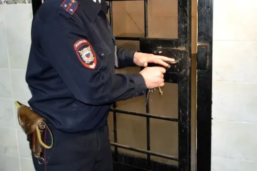 В Саратове задержан мужчина за кражу брендовых товаров из ТЦ &laquo;Триумф&raquo;