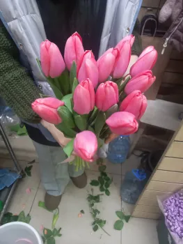 Как выбрать качественные тюльпаны: советы от Россельхознадзора