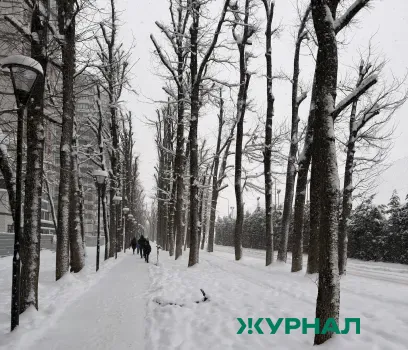 Погода в Саратовской области 8 марта: снег, метель и гололедица