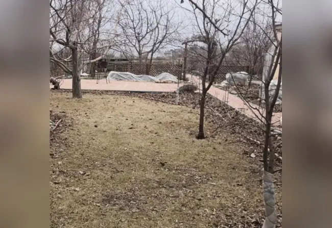 Что не стоит делать на даче весной: 5 бесполезных забот для огородников