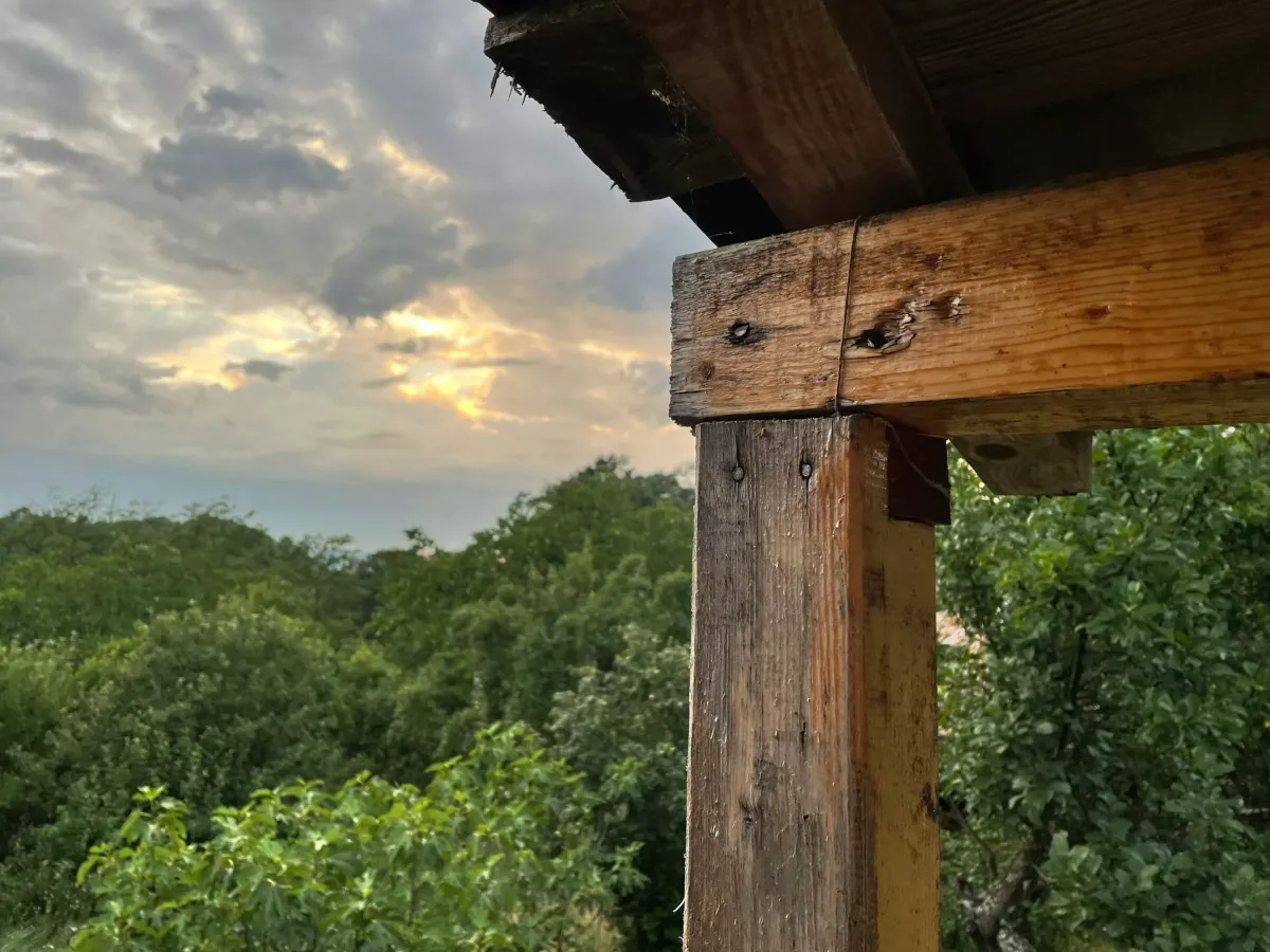 Как заделать трещины в древесине с помощью опилок и клея ПВА за сутки