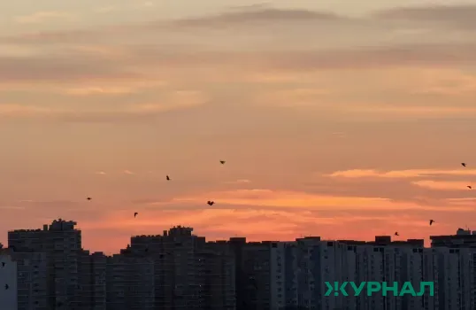 Сажа и копоть накрыли окраины Балаково, жители винят завод