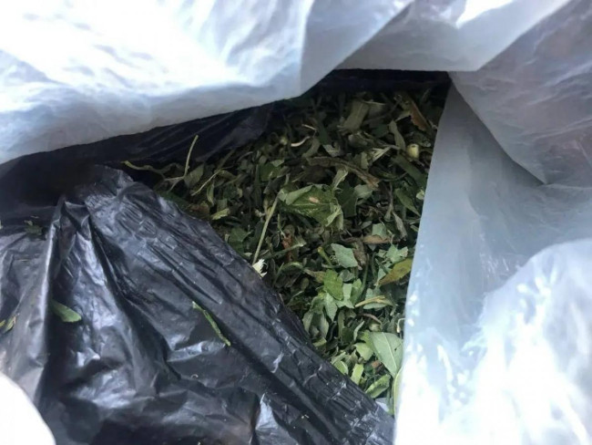 В Калининске у мужчины изъяли 134 грамма марихуаны, он хранил её для себя