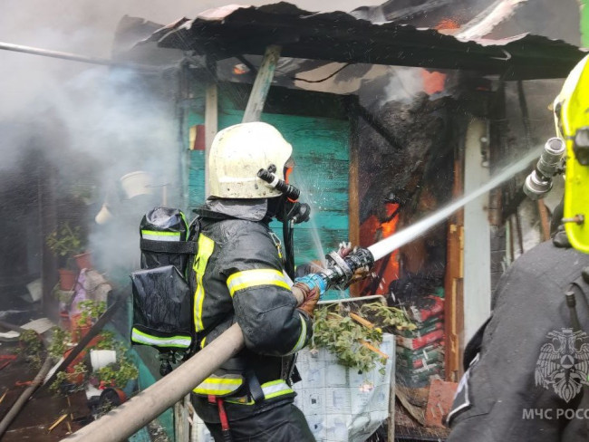 Семь пожаров за сутки произошло в Саратовской области