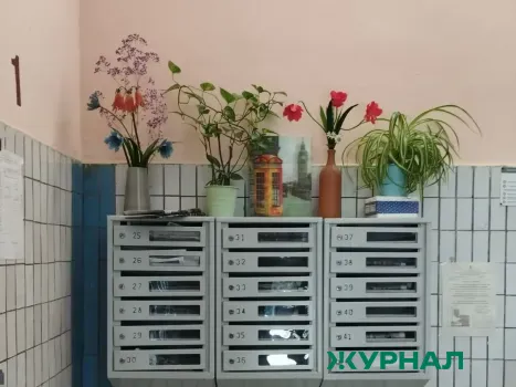 Собственники жилья в Саратове обязаны соблюдать правила пользования помещениями