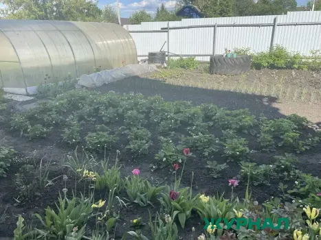 В Саратовской области расширен список профессий для получения земельных участков