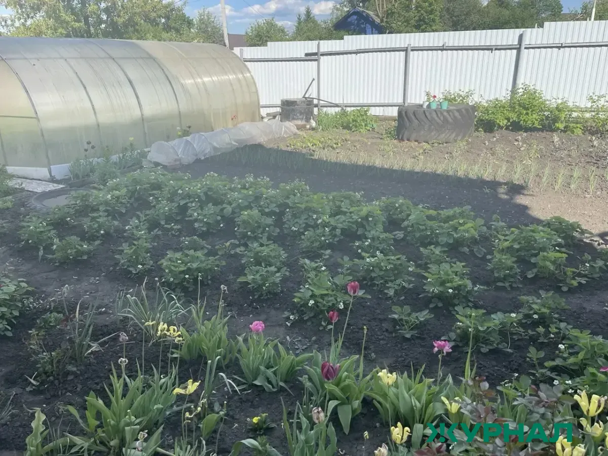В Саратовской области расширен список профессий для получения земельных участков