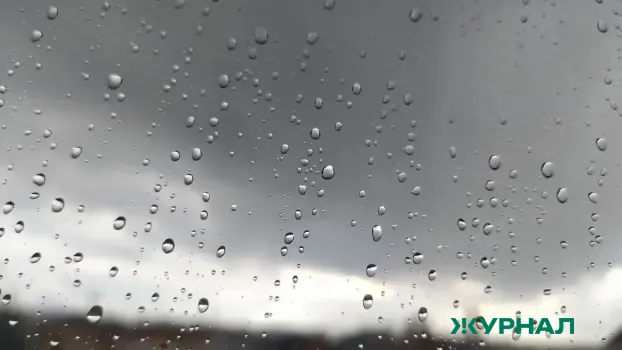 Теплая погода и дожди ожидаются в Саратовской области на выходных