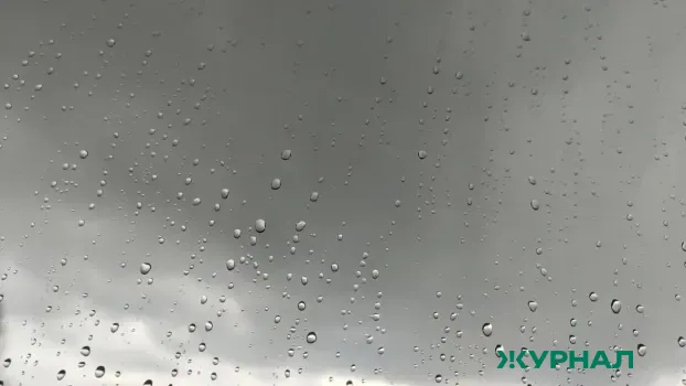 Пасмурная погода с дождем ожидается в Саратовской области 29 марта