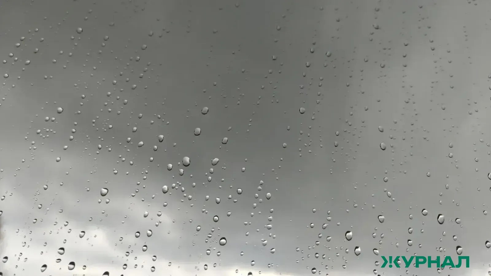 Пасмурная погода с дождем ожидается в Саратовской области 29 марта