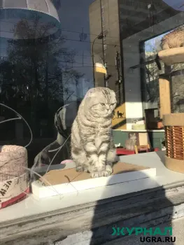 Тёплая погода ожидает жителей Саратовской области в понедельник