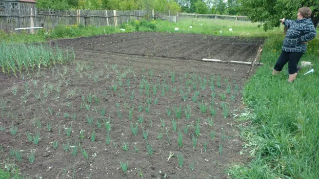 Весенние полевые работы стартовали в Саратовской области