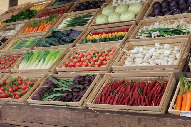 Цены на продукты в Жлобине: что выгодно покупать россиянам в Беларуси