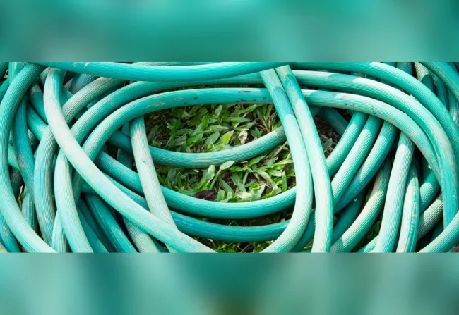 Шланги на даче: 3 простых способа защитить руки и растения от повреждений