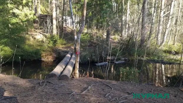 В пруду в Ершовском районе найдено тело 25-летнего рыбака