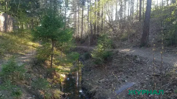 В Саратовской области началась весенняя кампания по восстановлению лесов