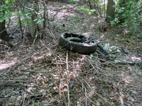В Энгельсе в урочище Тинь-Зинь обнаружена свалка, начата ликвидация