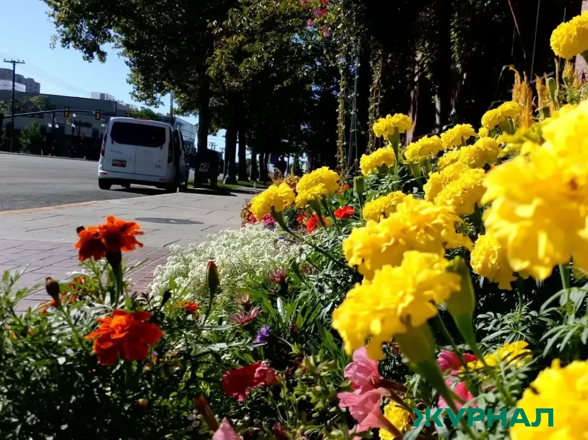 Губернатор Бусаргин рассказал о планах по озеленению и экологии в регионе
