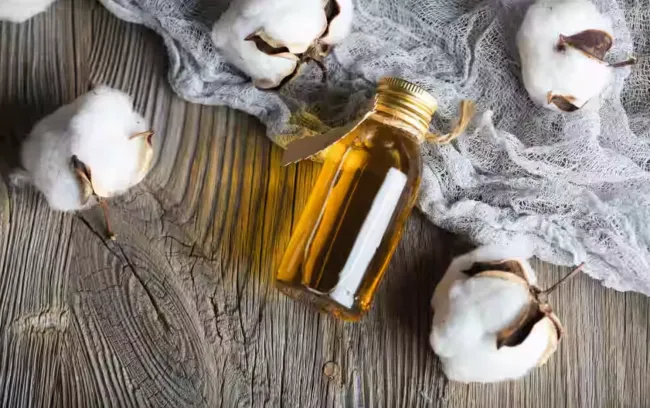 Эфирное масло корицы на подоконнике: как избавиться от мух и наполнить дом ароматом