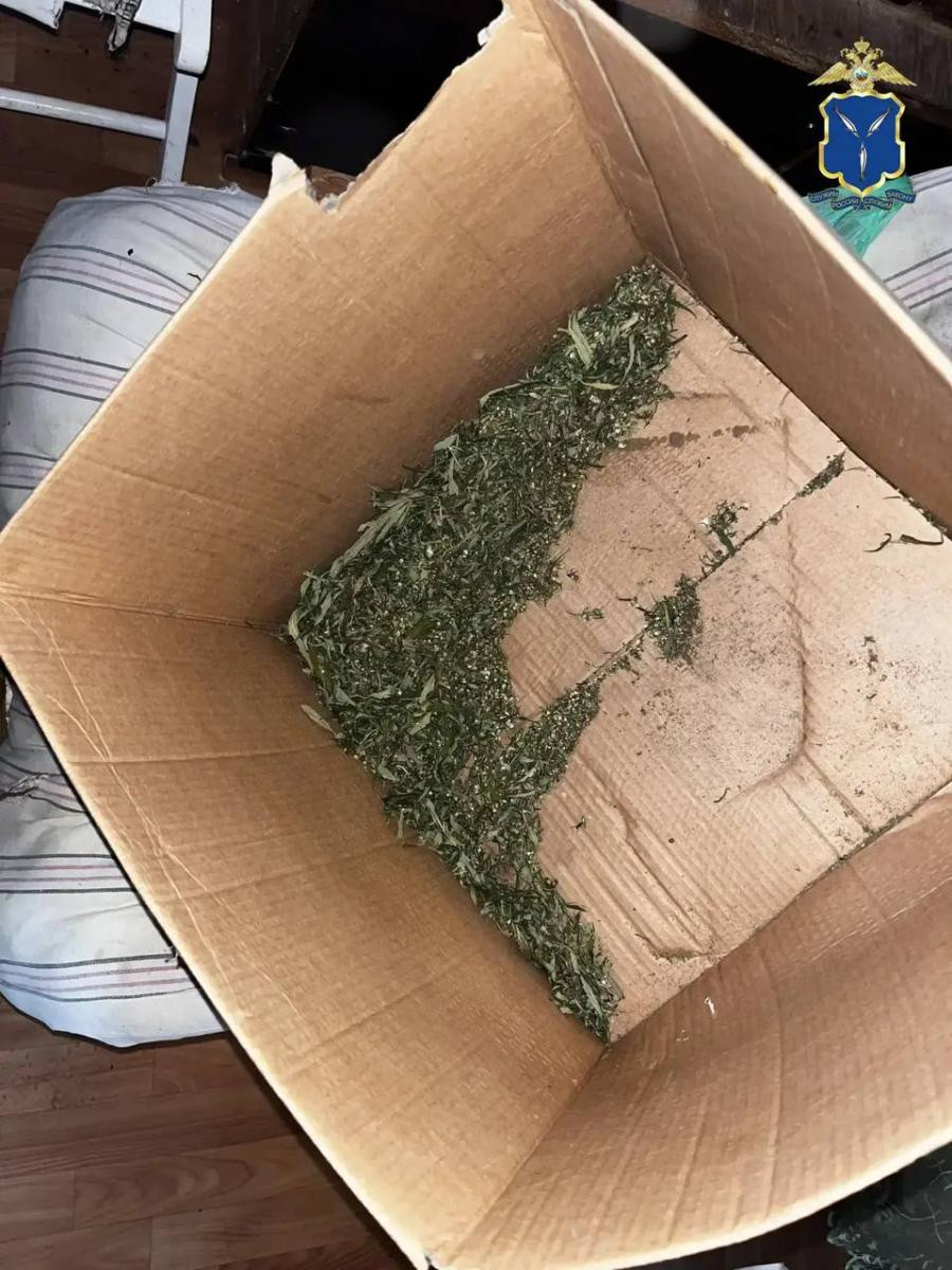 В Марксе задержан мужчина за хранение марихуаны на даче