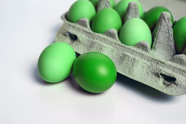 Натуральный краситель для яиц из авокадо: нежный зеленый цвет за 10 минут