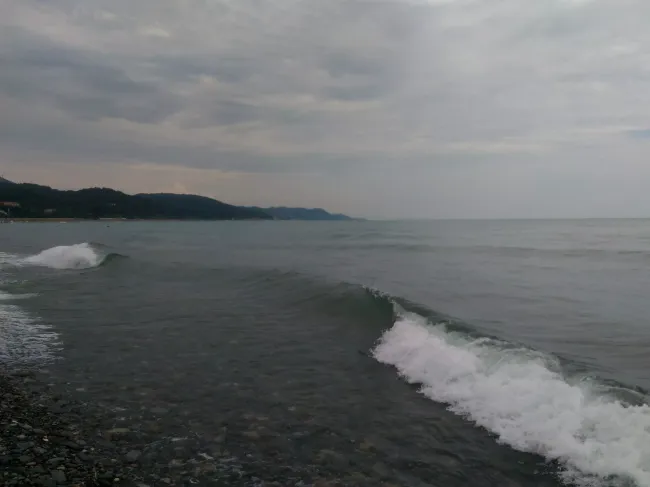 Печальный опыт аренды квартиры на Черном море: как избежать убытков и сохранить имущество