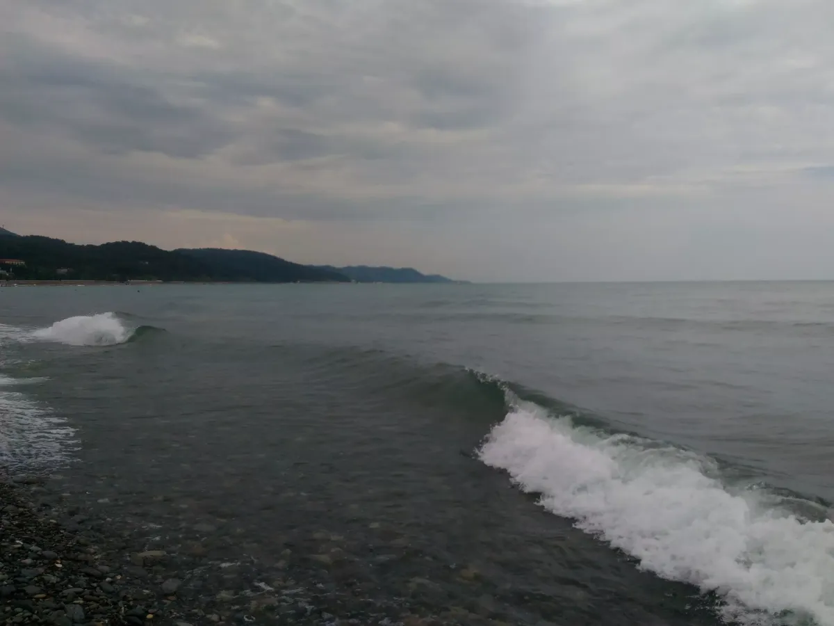 Печальный опыт аренды квартиры на Черном море: как избежать убытков и сохранить имущество