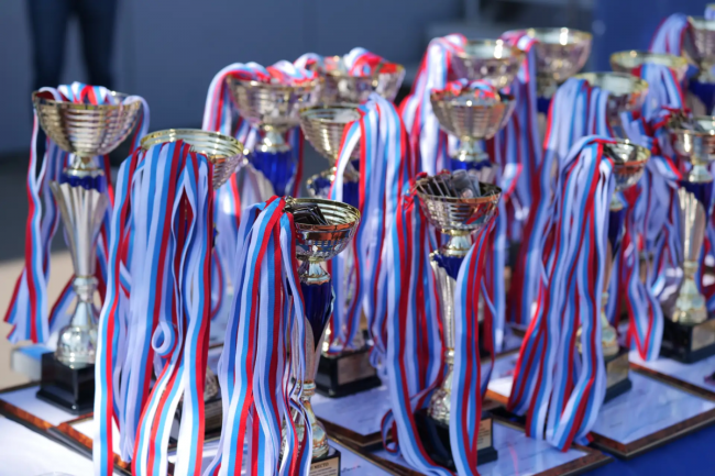 Спортсмены Саратовской области получат премии за достижения на соревнованиях